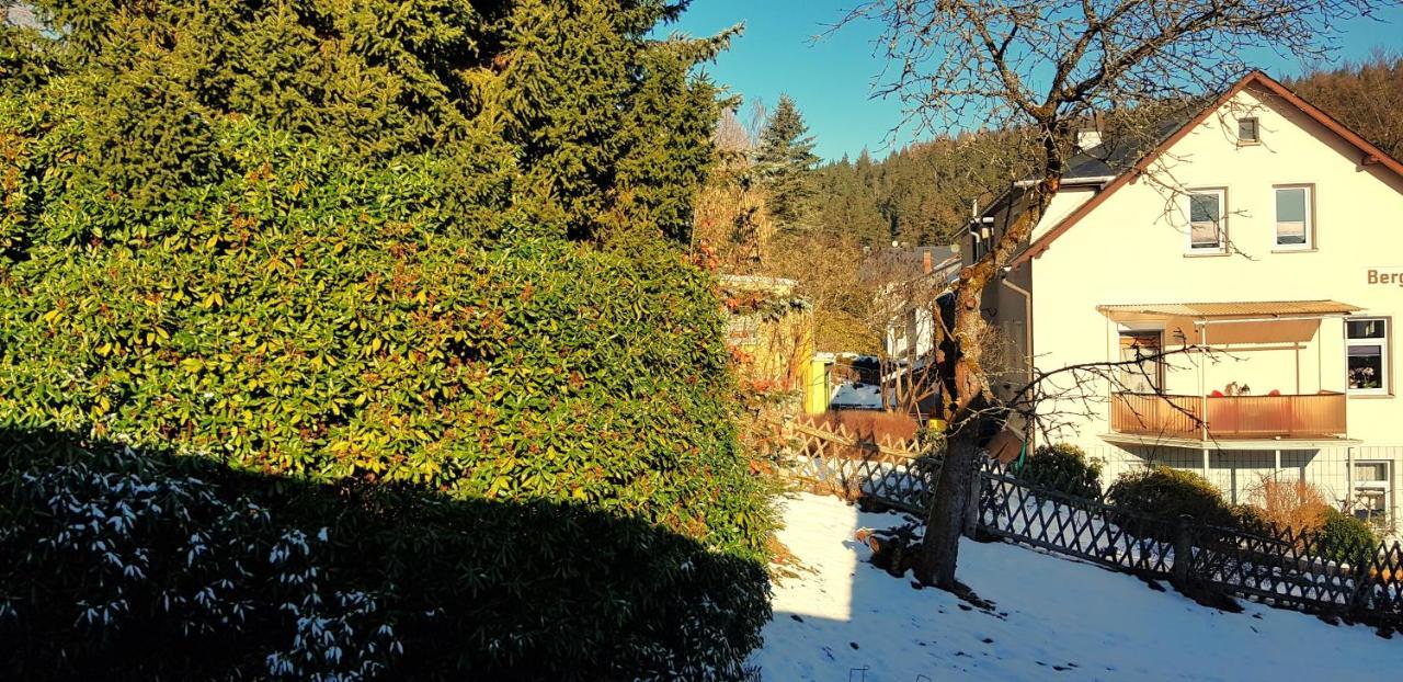Villa Helvetia Bad Elster Εξωτερικό φωτογραφία